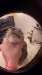 🤩