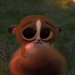 🌟