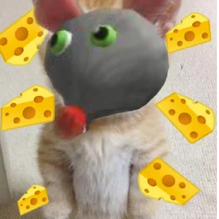 🧀