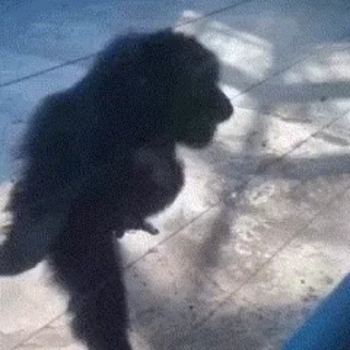 🕺