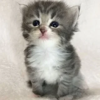🍧