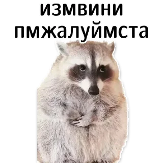 🙏