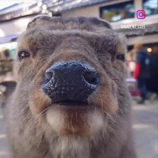 😐