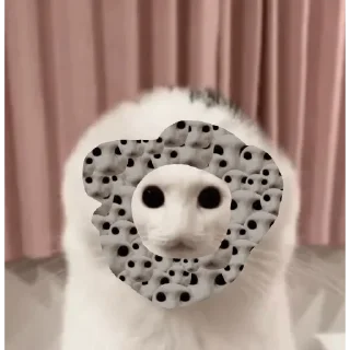 ☃️