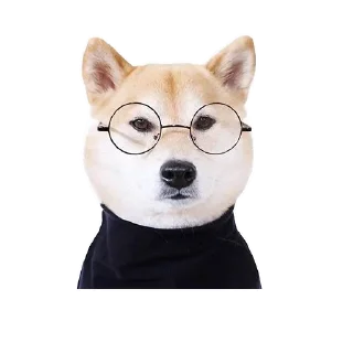 🐶