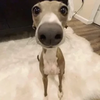 😮