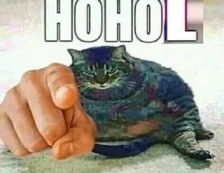 🫵