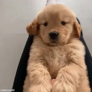 😘