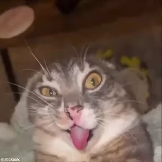🥵