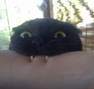 😬