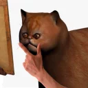 😱