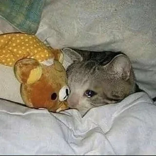 🥺
