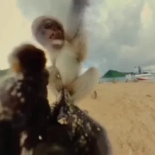 🧐