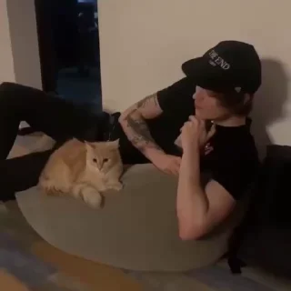 🐱