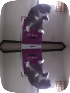 😑