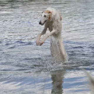 💦