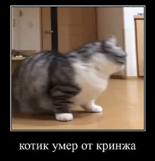 😵