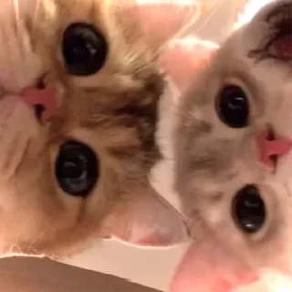 👀