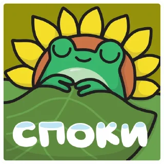 😴