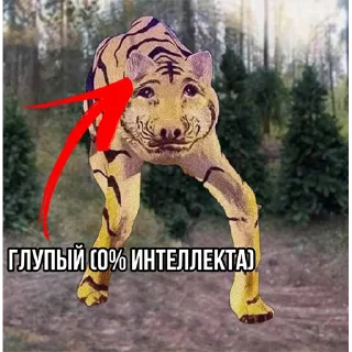 🤔