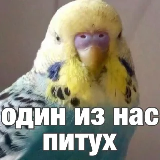 😉