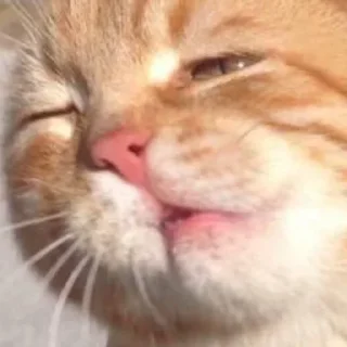 😕