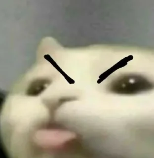 😝