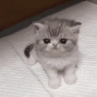 😐