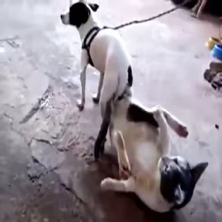 😐