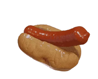 🌭