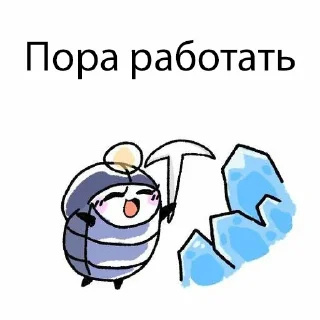 🤍