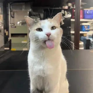 😛