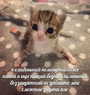😢