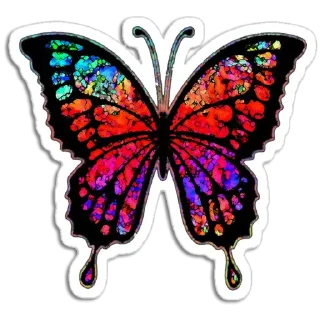 🦋