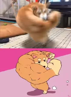 💪