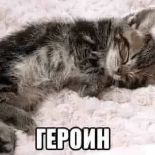 🛌