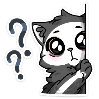 ❓
