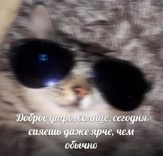 😎