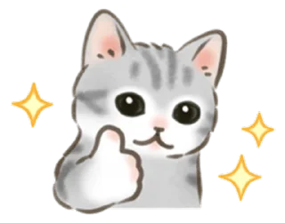 🐱