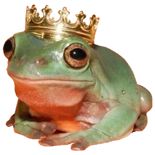 🐸