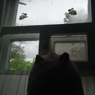 🌧