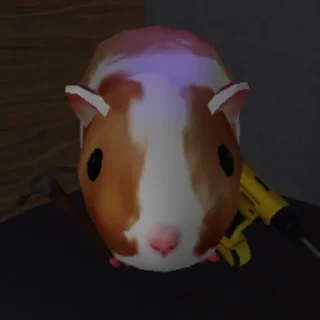 😱