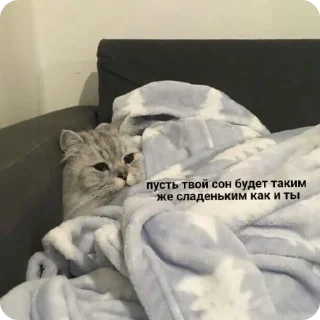 🛏