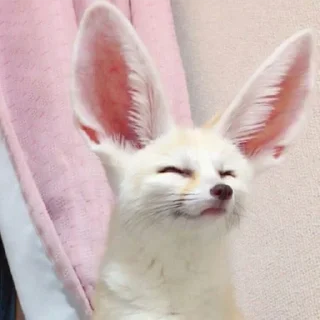 😌