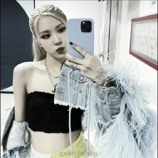 💿
