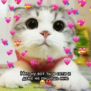 🥺