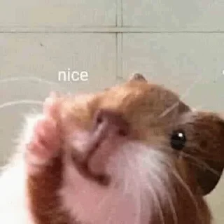 👍