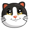 BonyaCat