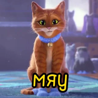 🐱