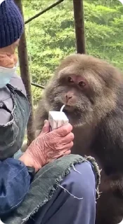 🧃